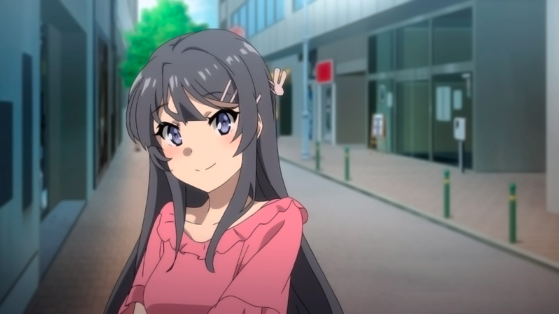 Anime, Rascal Does Not Dream Of Bunny Girl Senpai, - Rascal Does Not Dream Of Bunny Girl Senpai Mai Sakurajima , HD Wallpaper & Backgrounds