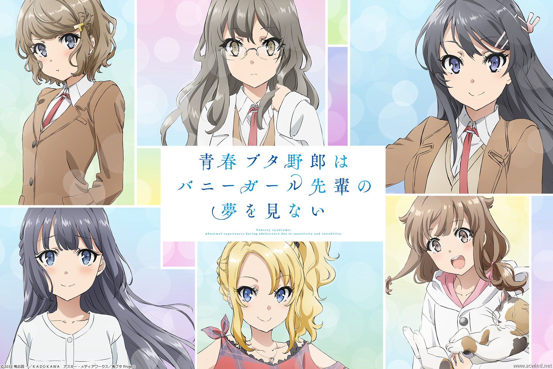 Bunny Girl Senpai Characters , HD Wallpaper & Backgrounds