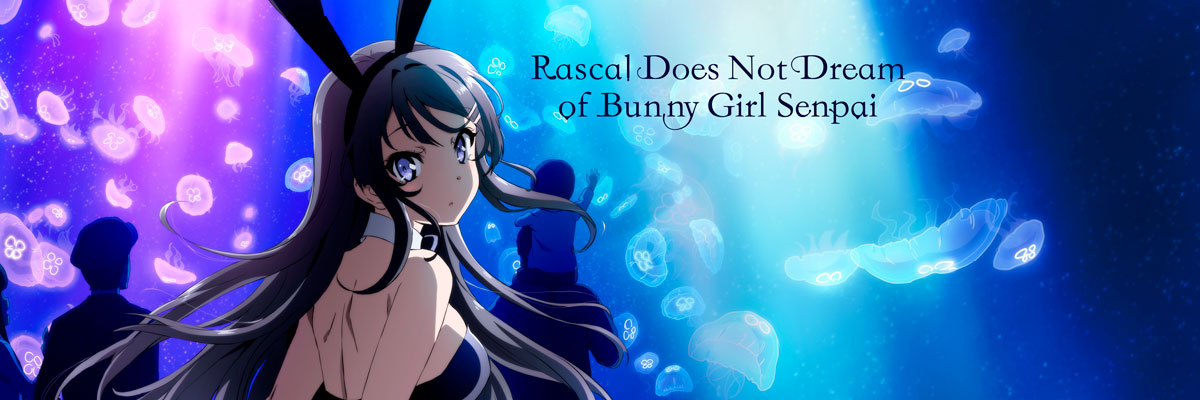 Rascal Does Not Dream Of Bunny Girl Senpai Is One Of - Rascal Does Not Dream Of Bunny Girl Senpai , HD Wallpaper & Backgrounds