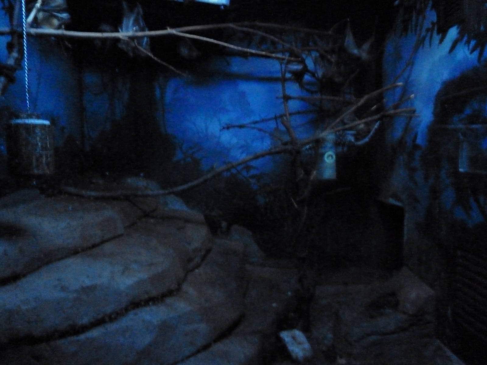 Small Mammals House - Sugar Glider Zoo Enclosure , HD Wallpaper & Backgrounds