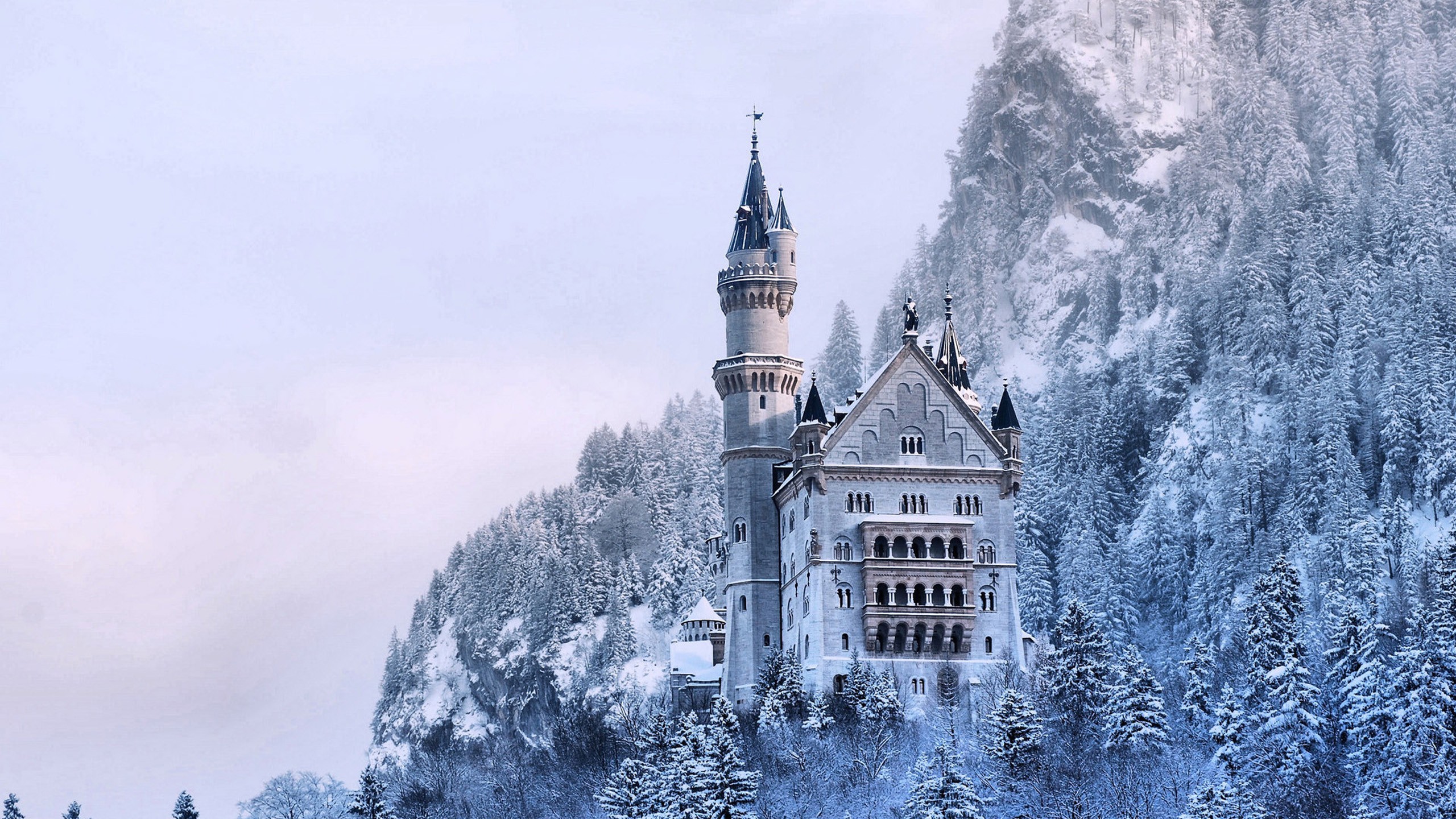 Frozen Neuschwanstein Castle Wallpapers Full Hd Windows