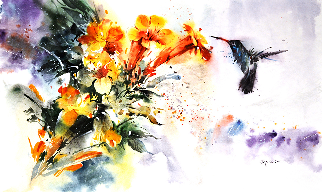 Wallpaper Birds Colibri Painting Art - Hummingbird Watercolor , HD Wallpaper & Backgrounds