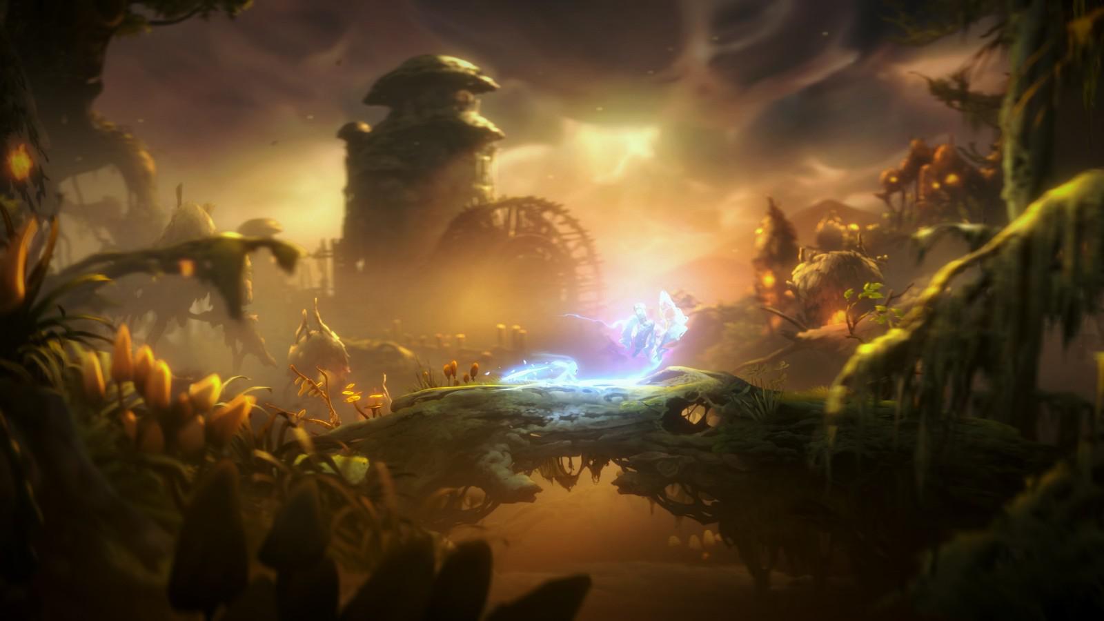 Ori Will Of The Wisps , HD Wallpaper & Backgrounds