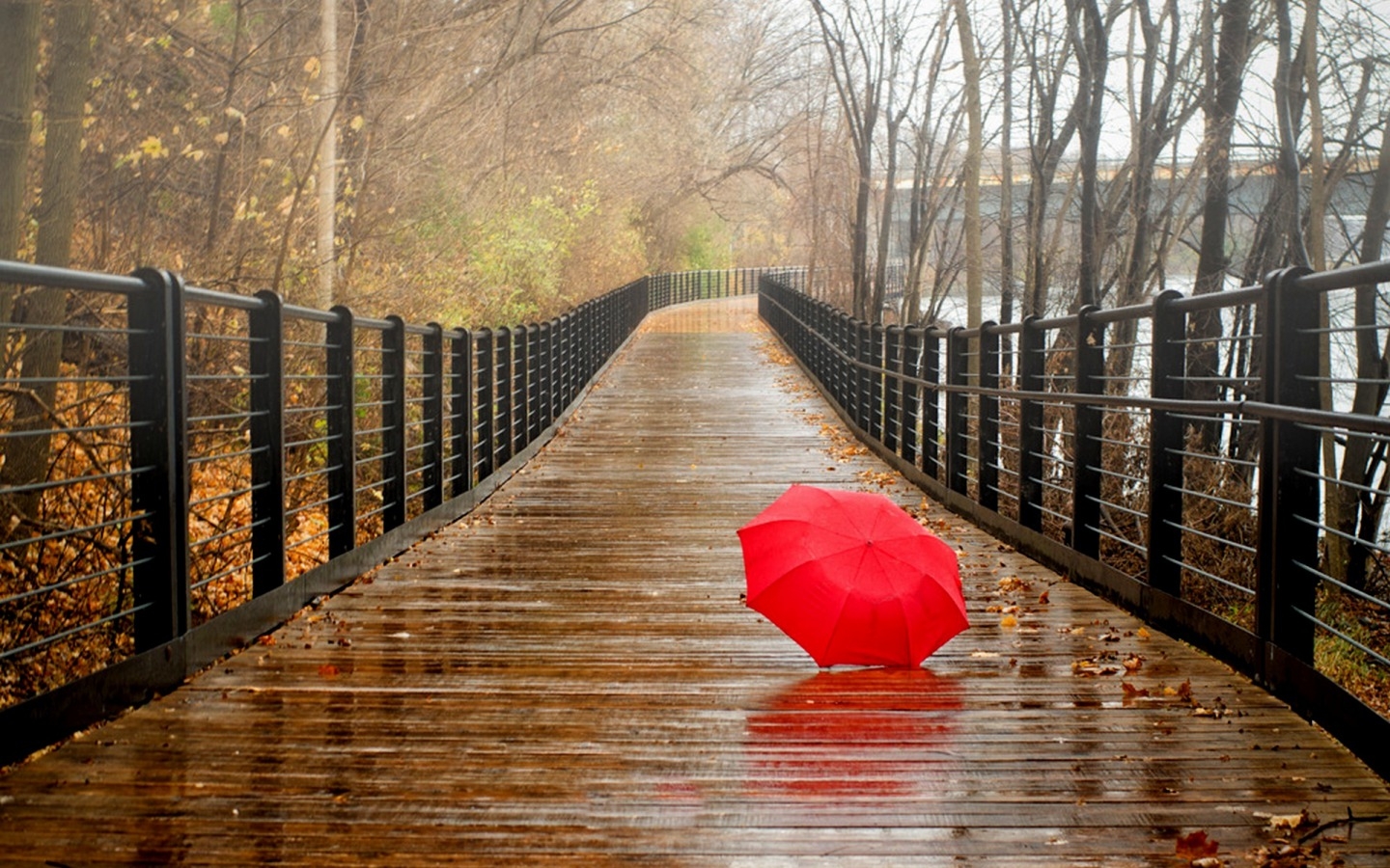 Happy Rain Wallpaper - Red Umbrella On Bridge , HD Wallpaper & Backgrounds