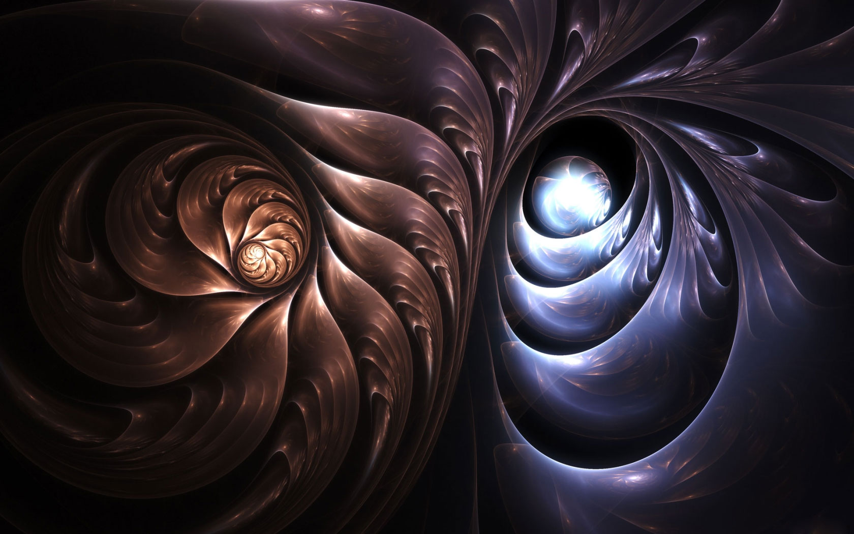 Nautilus Abstract Wallpaper - Hd Wallpapers For Windows 7 , HD Wallpaper & Backgrounds