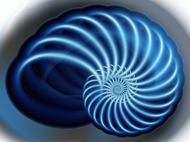 Nautilus - Nautilus Fractal , HD Wallpaper & Backgrounds