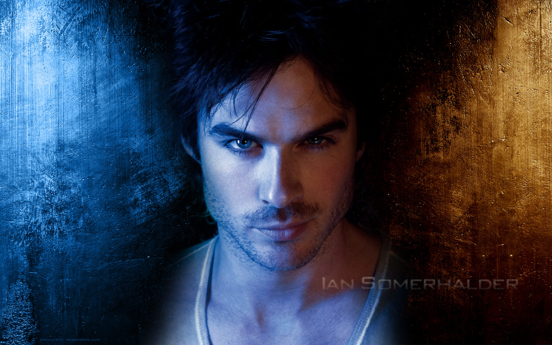 Click Here To Download - Damon Salvatore , HD Wallpaper & Backgrounds