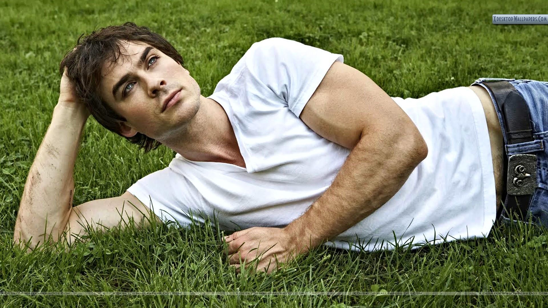 View Wallpaper Details - Damon Salvatore White Shirt , HD Wallpaper & Backgrounds