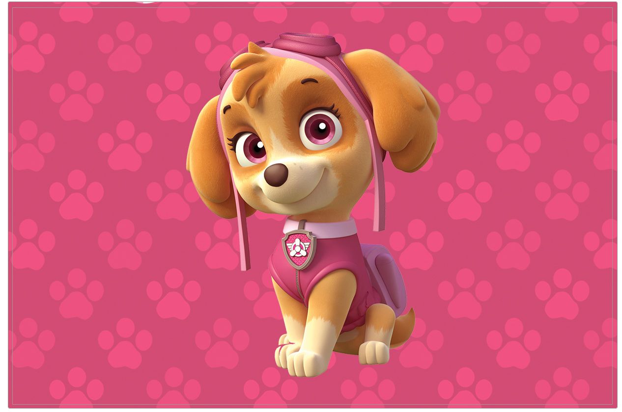 Skye - Paw Patrol Happy Birthday Pink , HD Wallpaper & Backgrounds