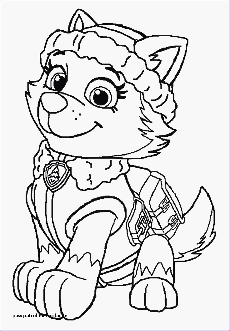 Paw Patrol Wallpaper Sommige 99 Frisch Ausmalbilder - Coloring Pages Paw Patrol Everest , HD Wallpaper & Backgrounds