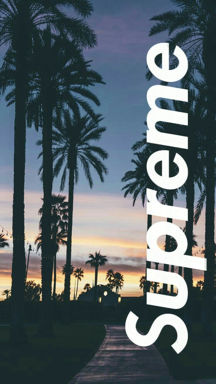 Wallpaper Supreme, Marcas Famosas, Wallpaper Praia - Iphone Wallpaper Palm Trees , HD Wallpaper & Backgrounds