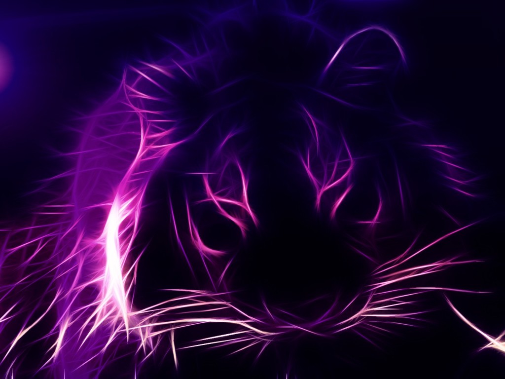 Purple Wallpaper - Best Purple , HD Wallpaper & Backgrounds