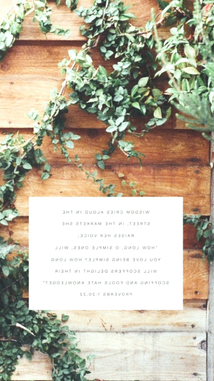 Iphone Wallpaper Bible Verse- Proverbs - Bouquet , HD Wallpaper & Backgrounds