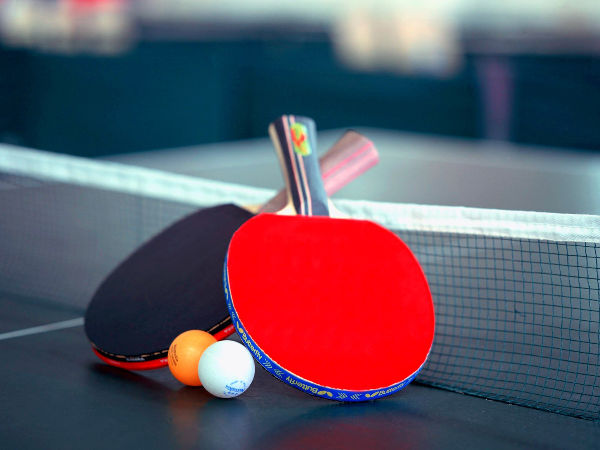Ping Pong Desktop Pictures - Ping Pong Hd , HD Wallpaper & Backgrounds