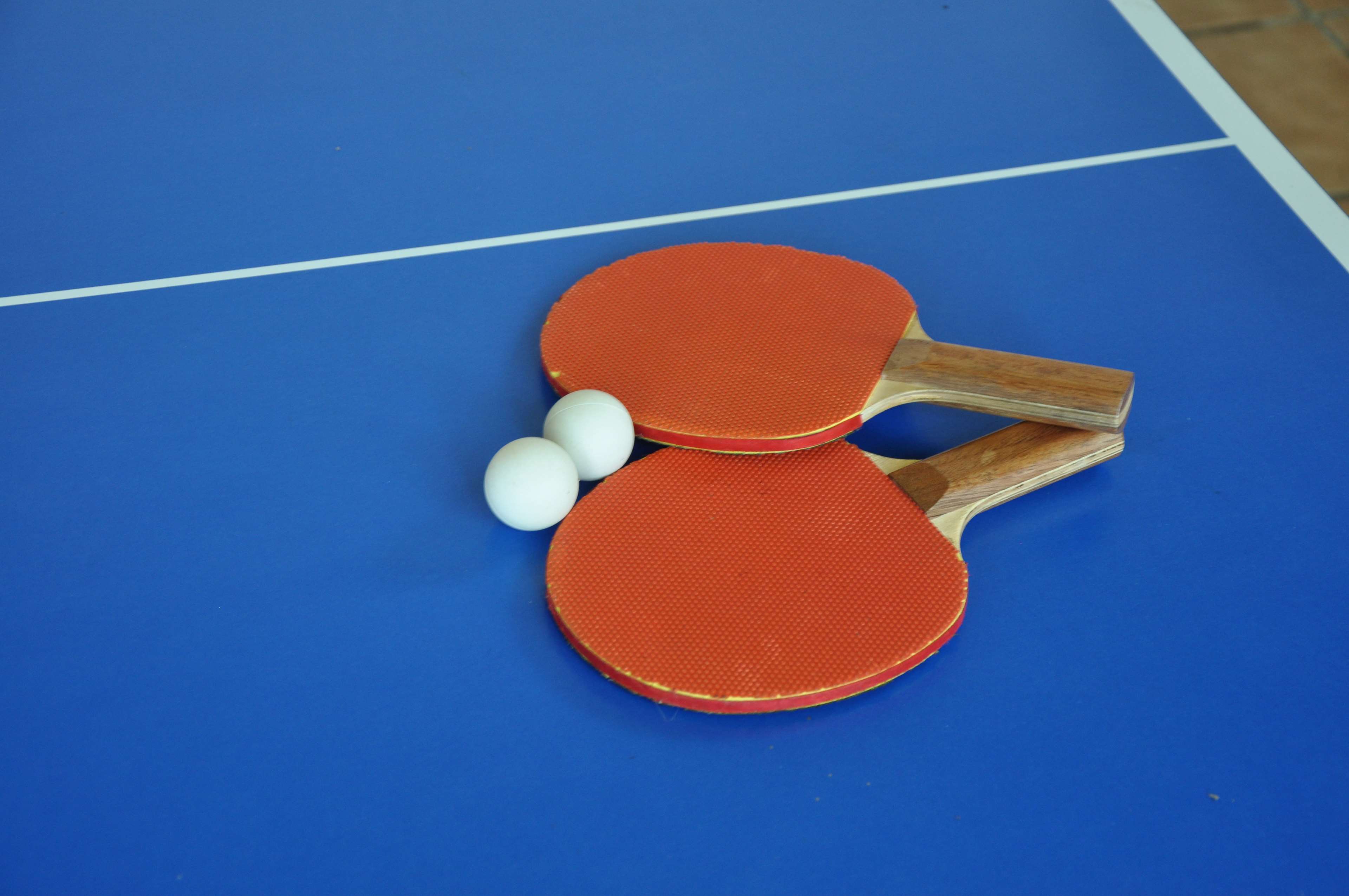 Game, Match, Ping Pong, Racket, Table Tennis 4k Wallpaper - Ping Pong , HD Wallpaper & Backgrounds