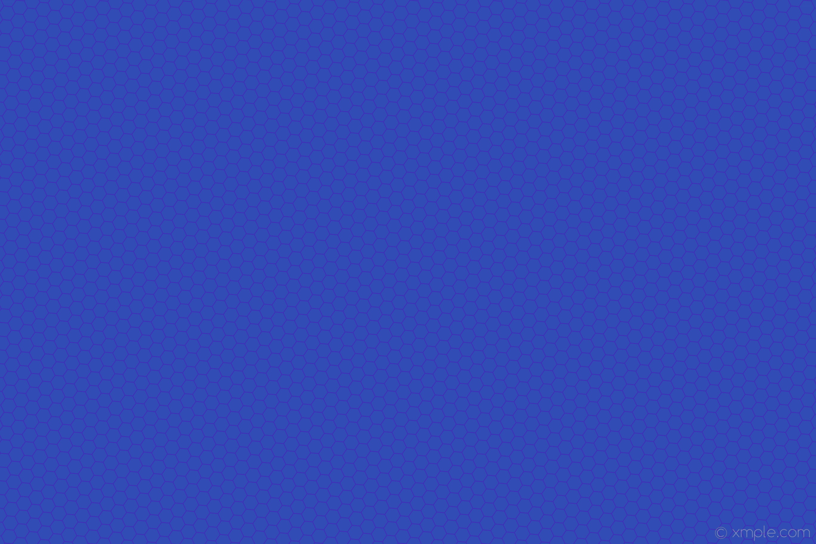Blue Poison Dart Frog Wallpaper , HD Wallpaper & Backgrounds