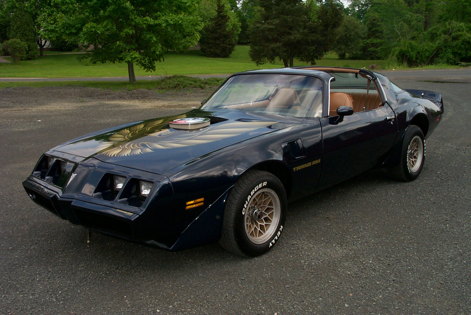 Pontiac Trans Am Wallpaper And Background Image - Pontiac Trans Am 1981 , HD Wallpaper & Backgrounds