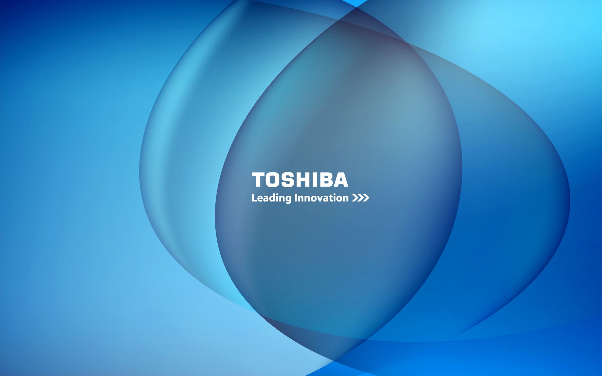 Toshiba Wallpapers - Toshiba Backgrounds , HD Wallpaper & Backgrounds
