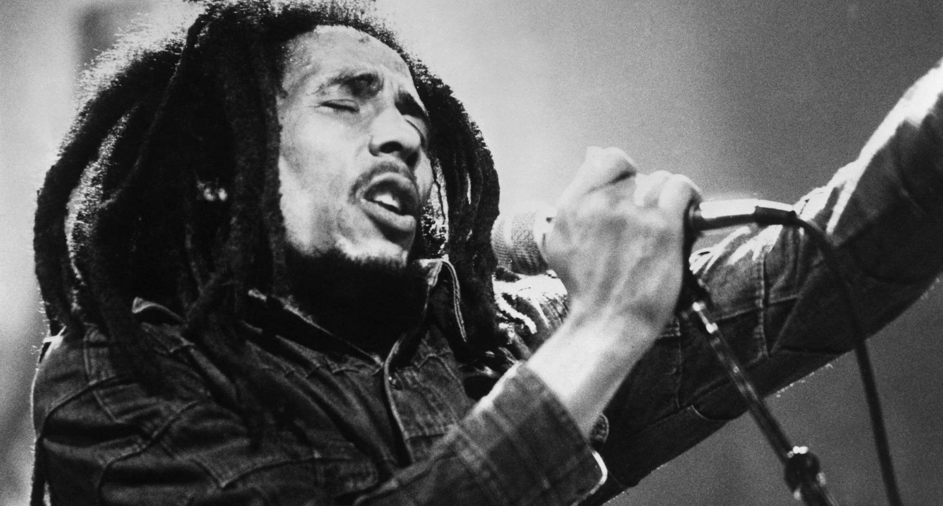 Bob Marley, Wallpaper, Singing, Famous Singer, Hd Music - Bob Marley , HD Wallpaper & Backgrounds