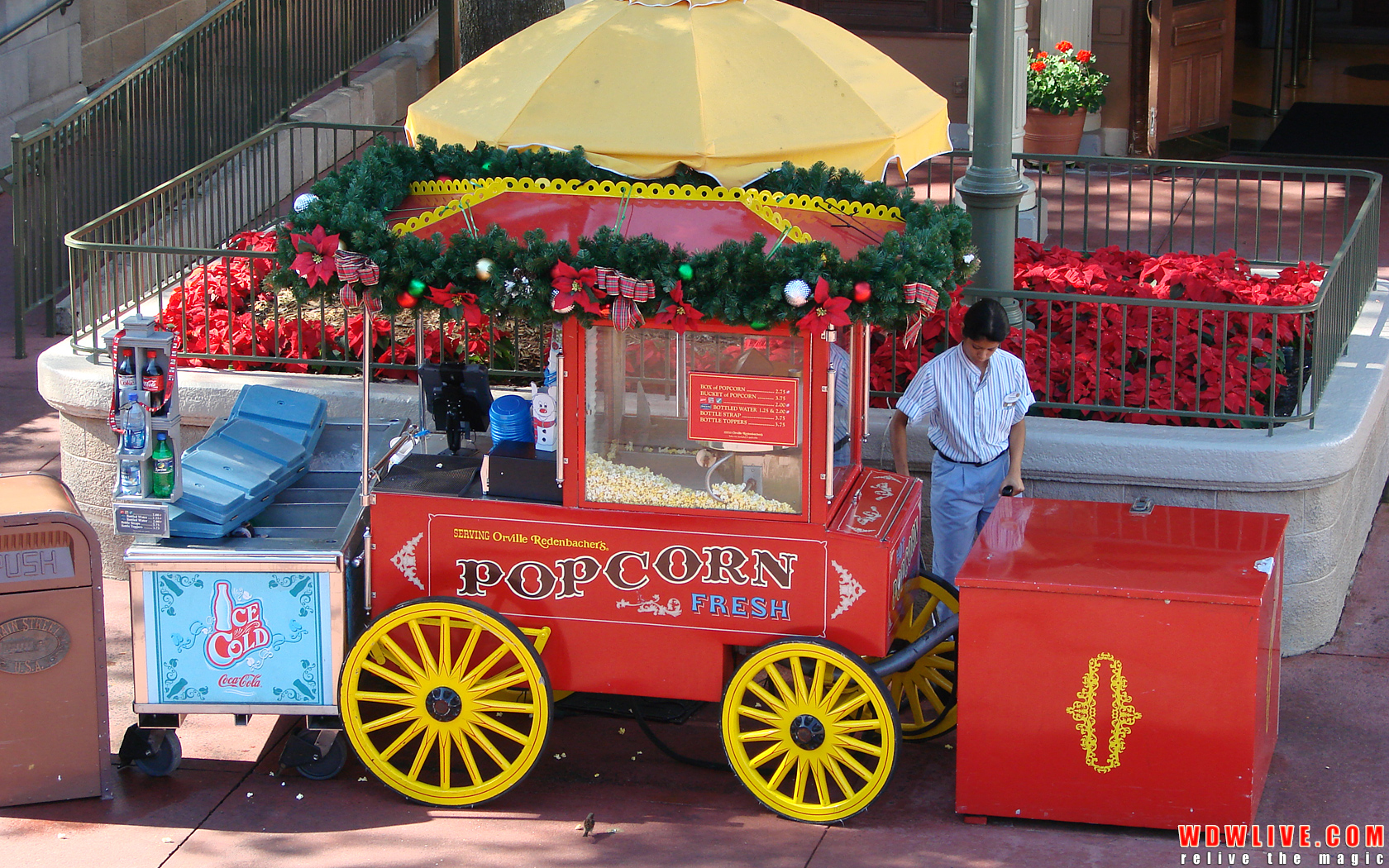 Magic Kingdom Popcorn Carts , HD Wallpaper & Backgrounds