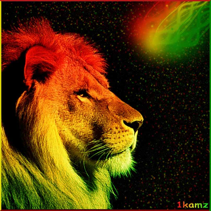 Rasta Images - Qygjxz - Lion In Indian Flag Colour , HD Wallpaper & Backgrounds