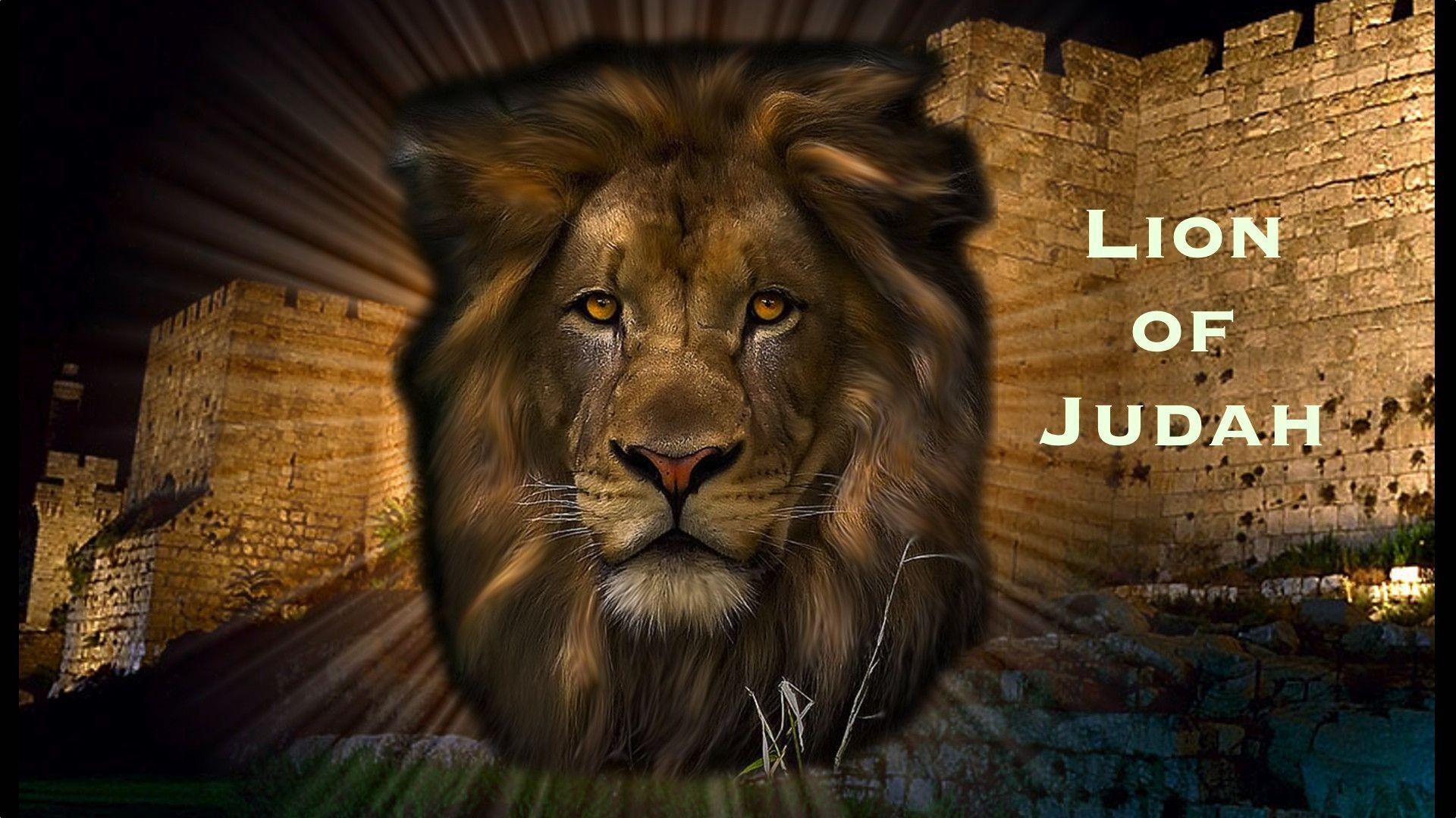 Lion Of Judah Wallpapers Free By Zedge - Show Me The Tribe Of Judah , HD Wallpaper & Backgrounds