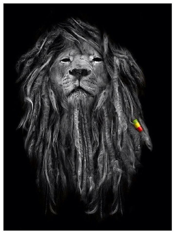 Rasta Lion - Black And White Rasta Lion , HD Wallpaper & Backgrounds