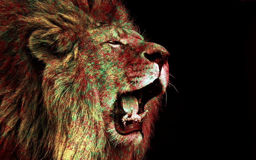 Rasta Lion Wallpaper Hd Iphone , HD Wallpaper & Backgrounds