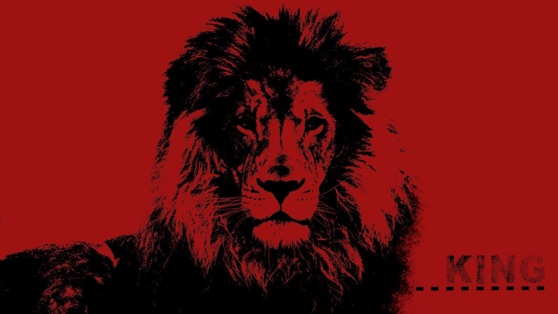 Wallpapers Rasta Hd Group - Red And Black Lion , HD Wallpaper & Backgrounds