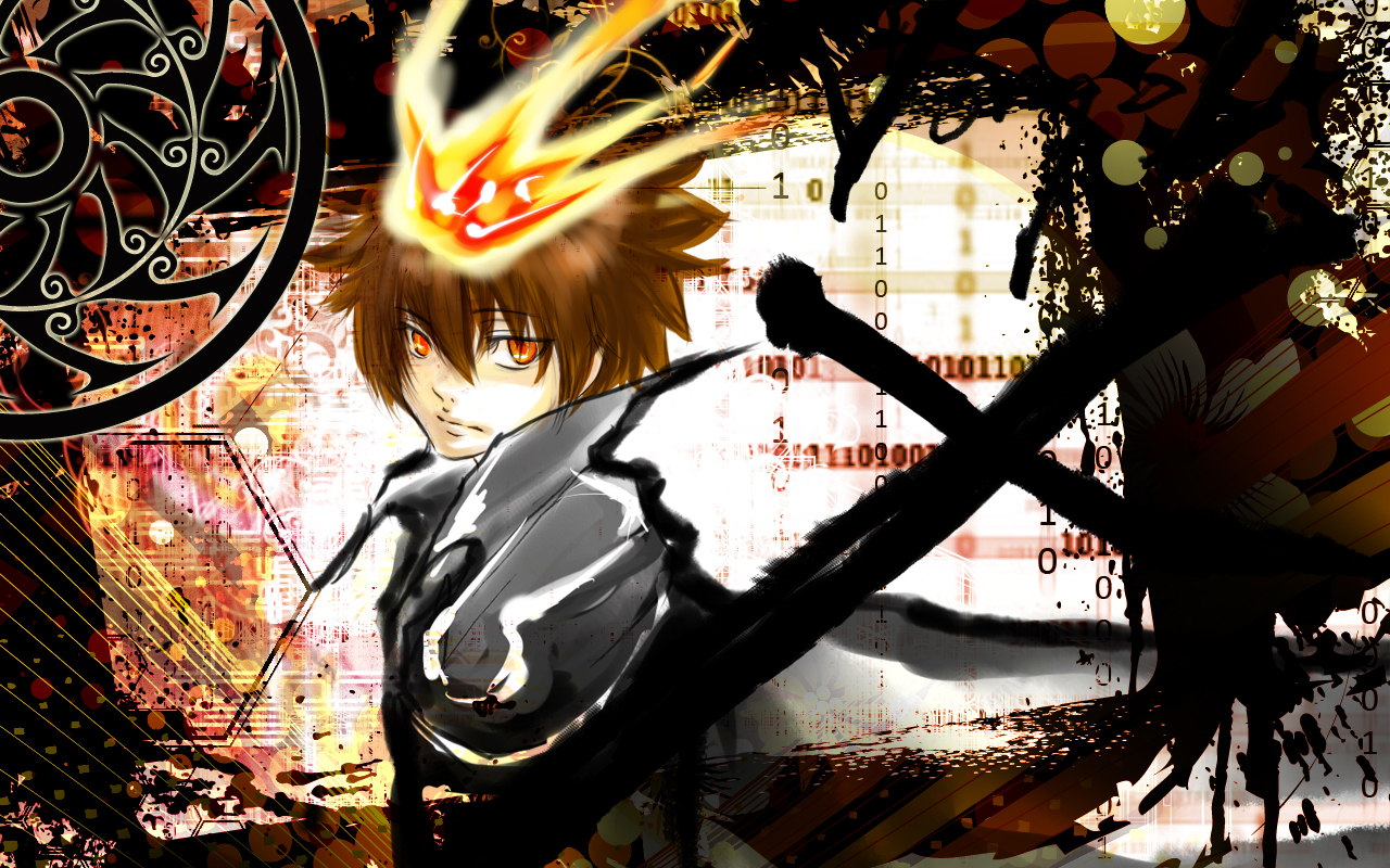 Tsunayoshi - Anime Wallpaper Hitman Reborn , HD Wallpaper & Backgrounds