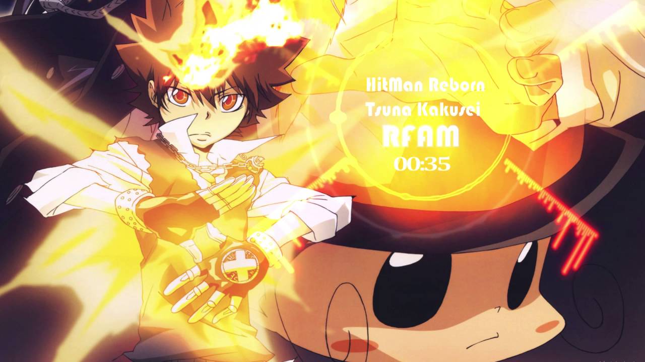 Hitman Reborn 家庭教師 Tsuna Kakusei - Tsunayoshi Sawada And Reborn , HD Wallpaper & Backgrounds