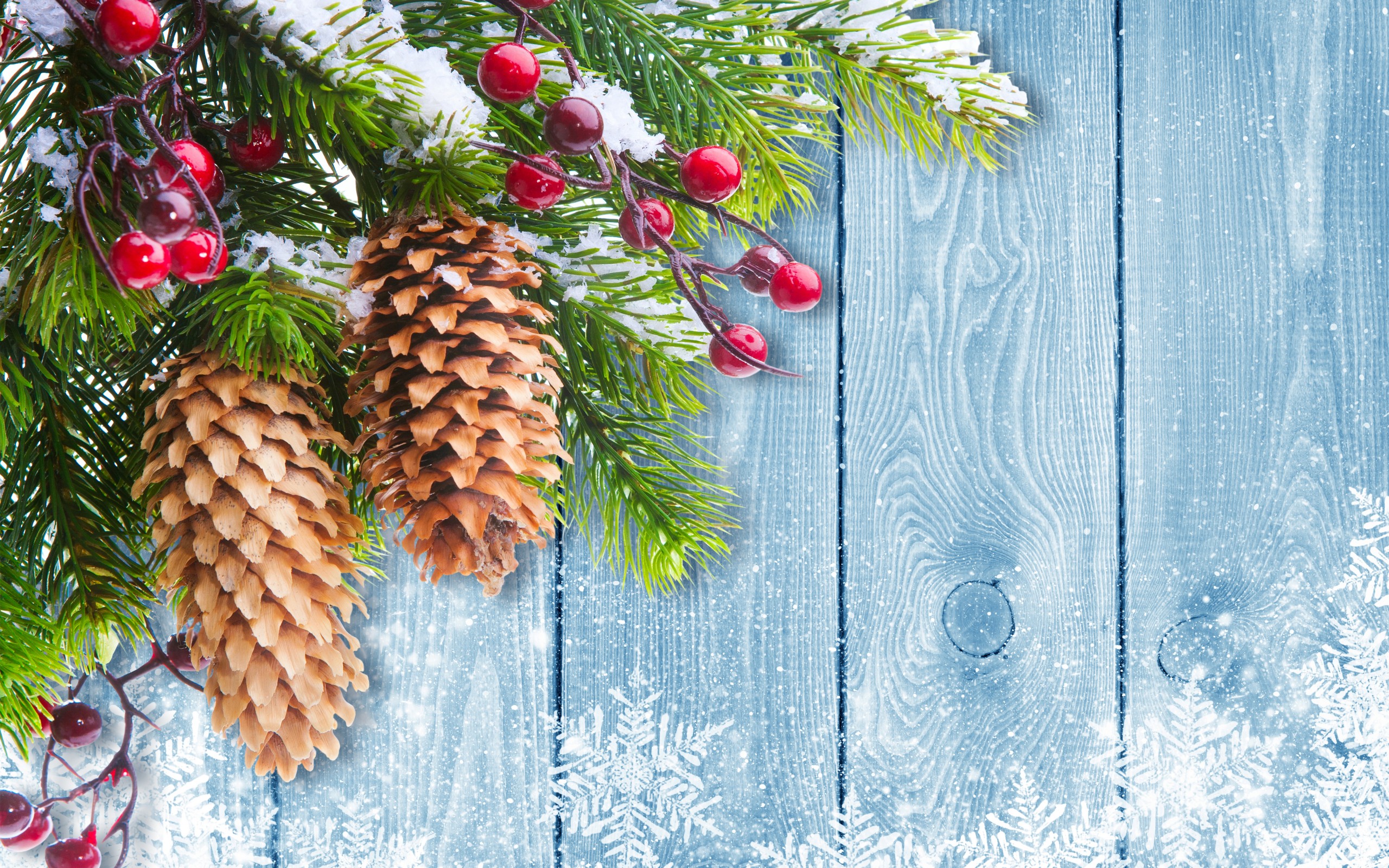 Christmas Tree Branch Mistletoe Desktop Wallpaper Uploaded - Christmas Mistletoe , HD Wallpaper & Backgrounds