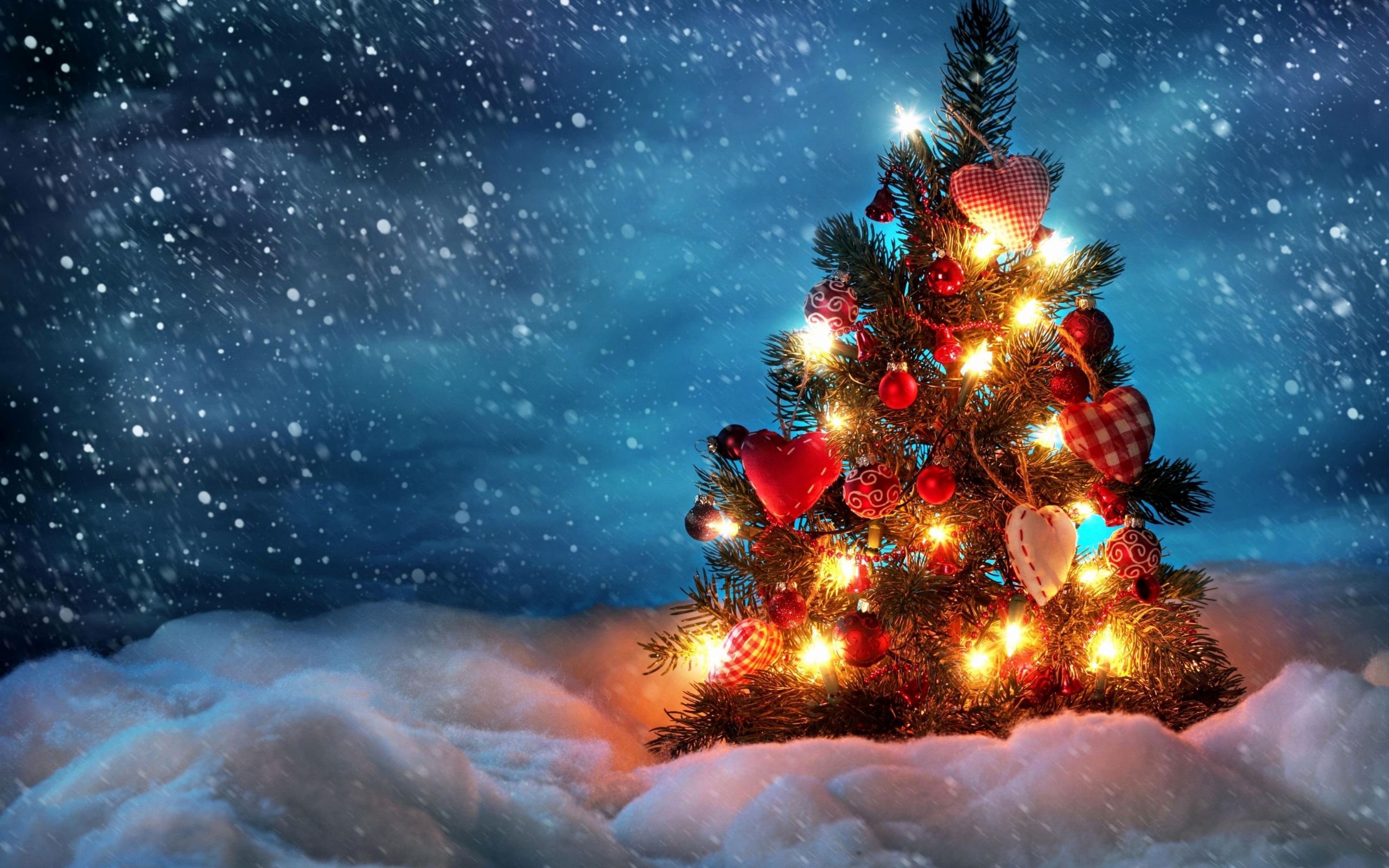 2014 Beautiful Christmas Tree - Immagini Auguri Di Natale , HD Wallpaper & Backgrounds