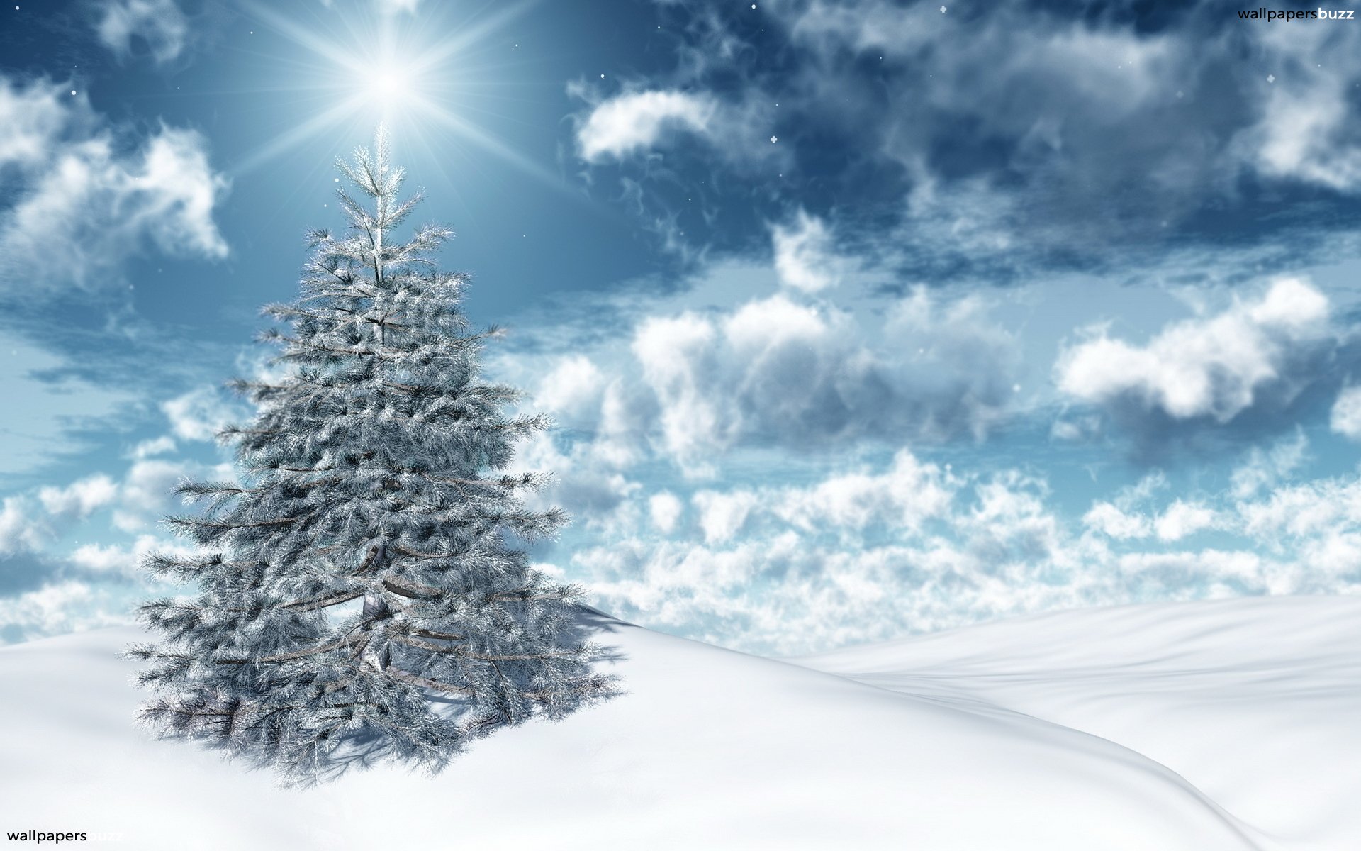 Christmas Tree - Christmas Tree And Snow , HD Wallpaper & Backgrounds