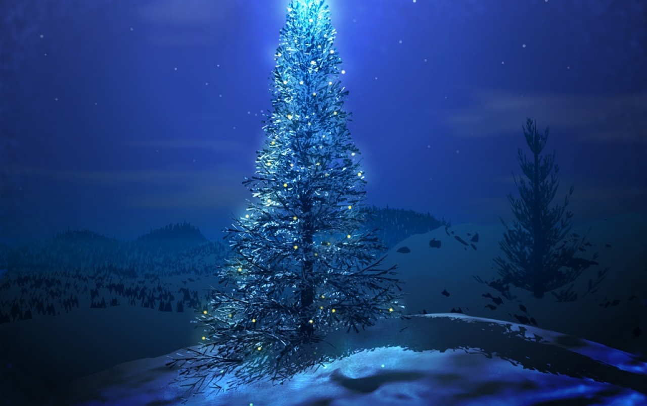 Blue Christmas Tree Wallpapers - De Navidad Arboles Azul , HD Wallpaper & Backgrounds