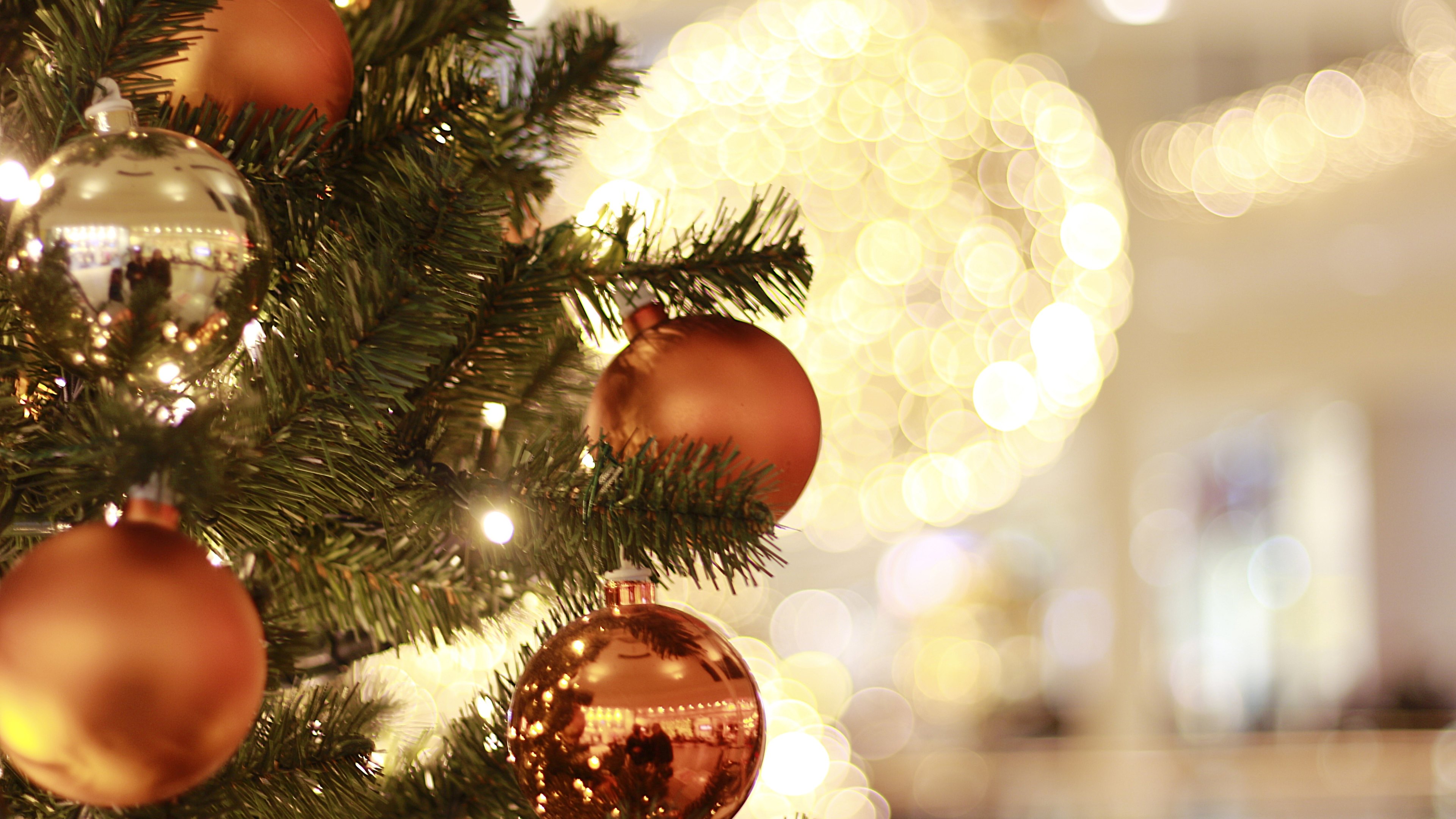 Christmas Tree Up Close , HD Wallpaper & Backgrounds