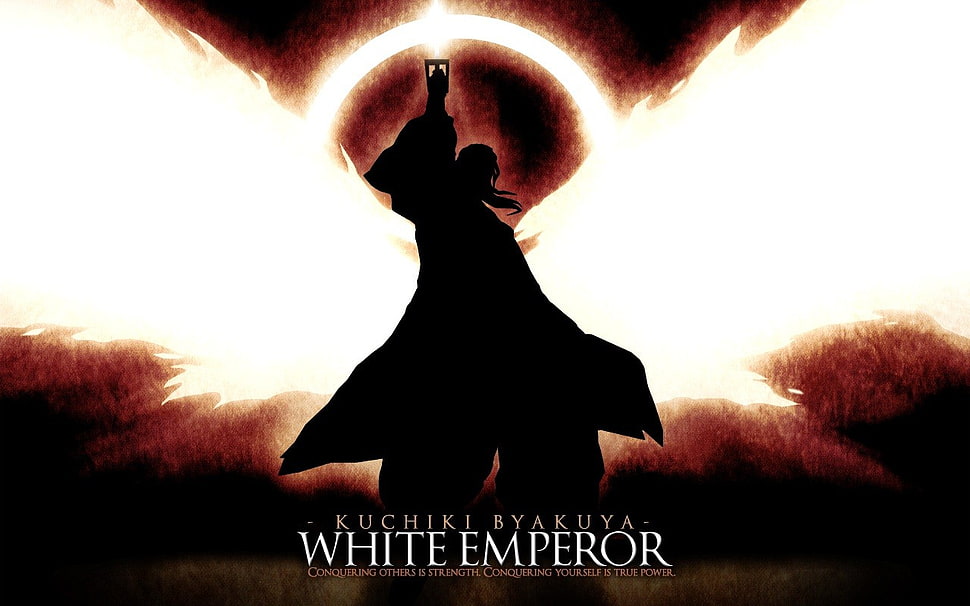 White Emperor Dvd Case, Bleach, Sword, Kuchiki Byakuya, - Kuchiki Byakuya Shuukei Hakuteiken , HD Wallpaper & Backgrounds