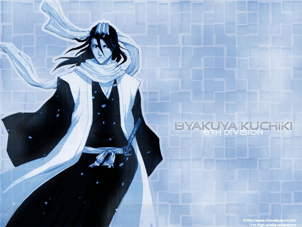 Bleach Wallpaper -kuchiki Byakuya Cool - Byakuya Kuchiki , HD Wallpaper & Backgrounds
