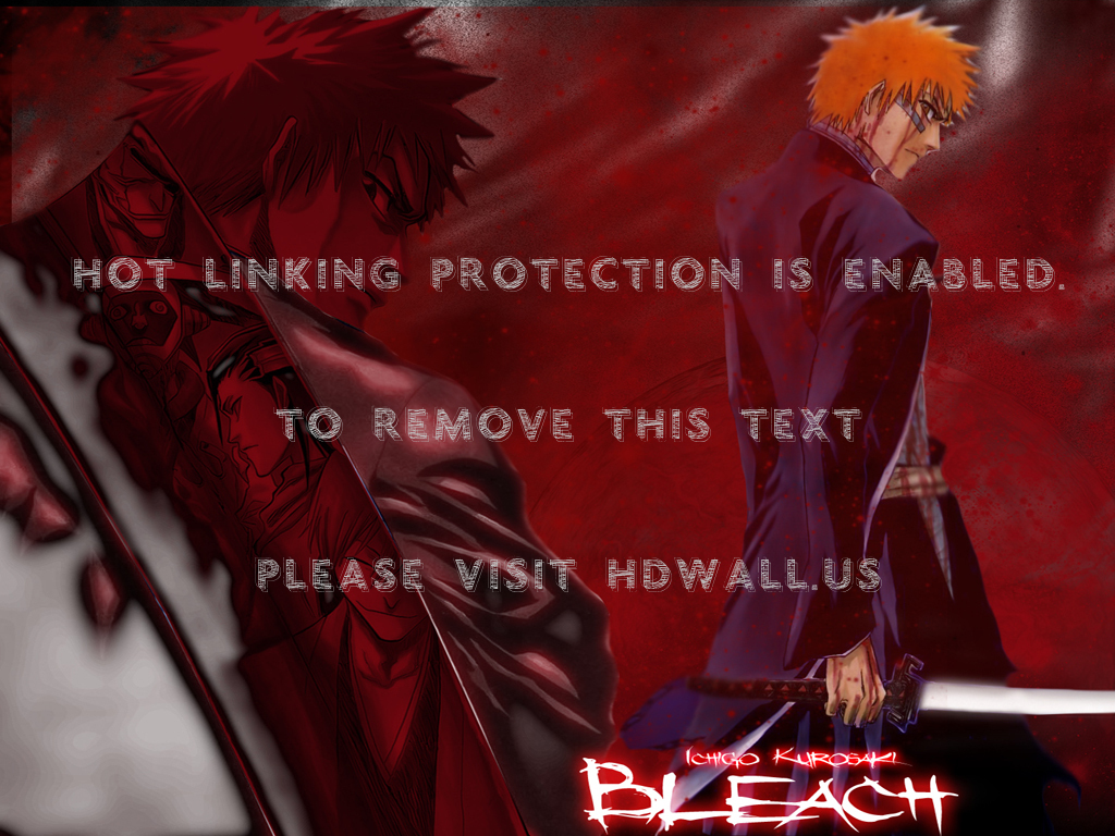 Bleach Anime , HD Wallpaper & Backgrounds