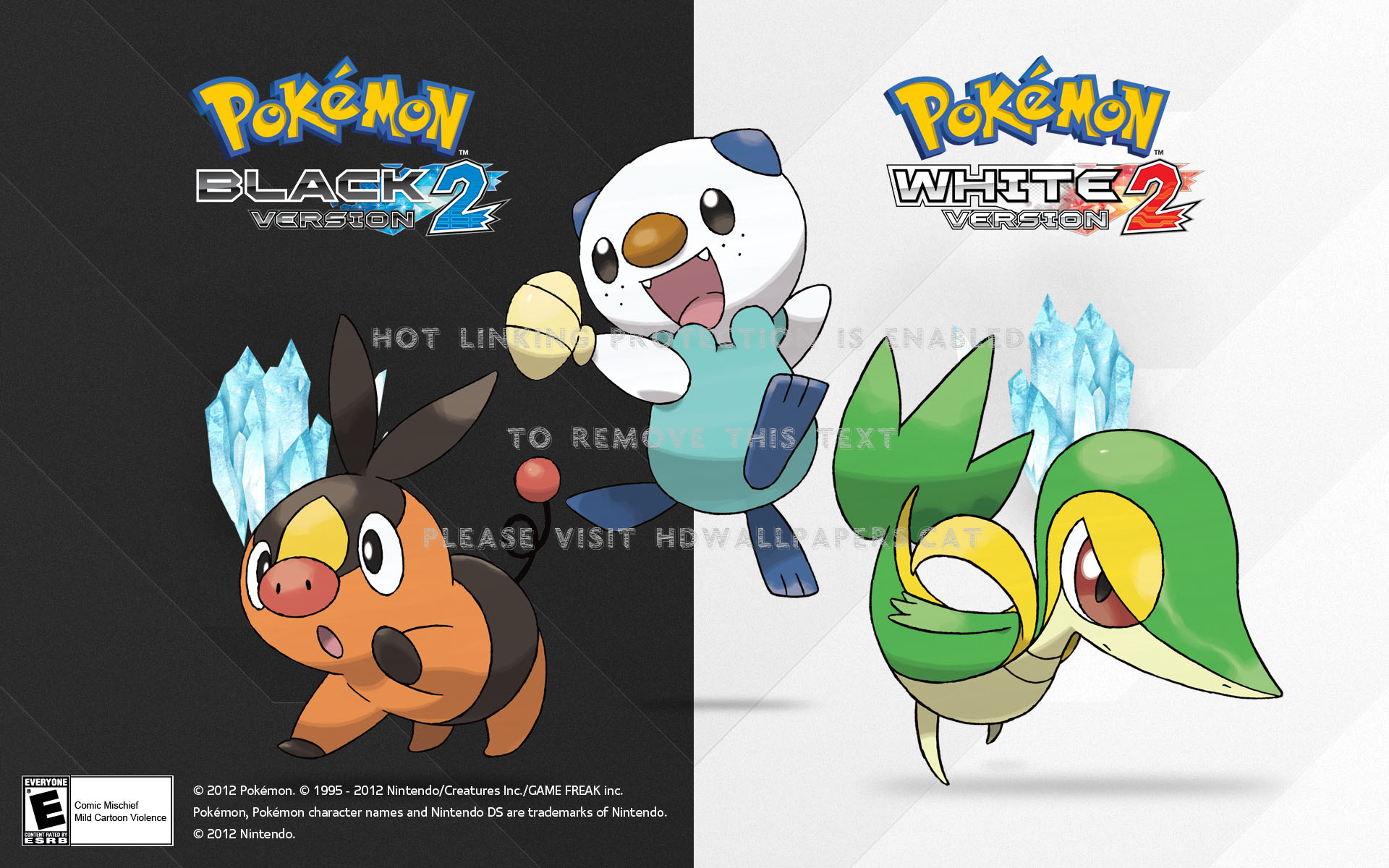 Pokémon Black/white Version 2 , HD Wallpaper & Backgrounds