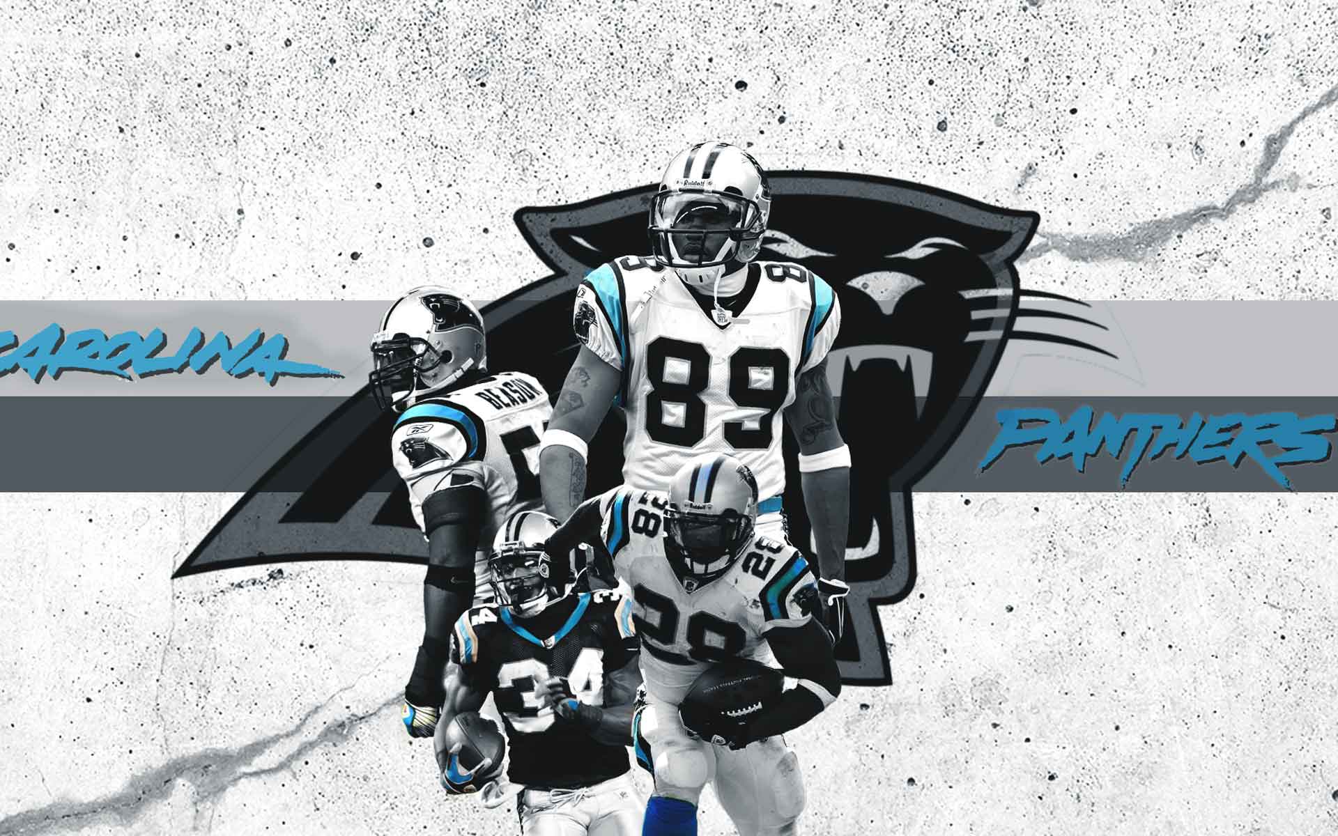 Carolina Panthers Team Nfl Wallpaper Hd - Carolina Panthers , HD Wallpaper & Backgrounds