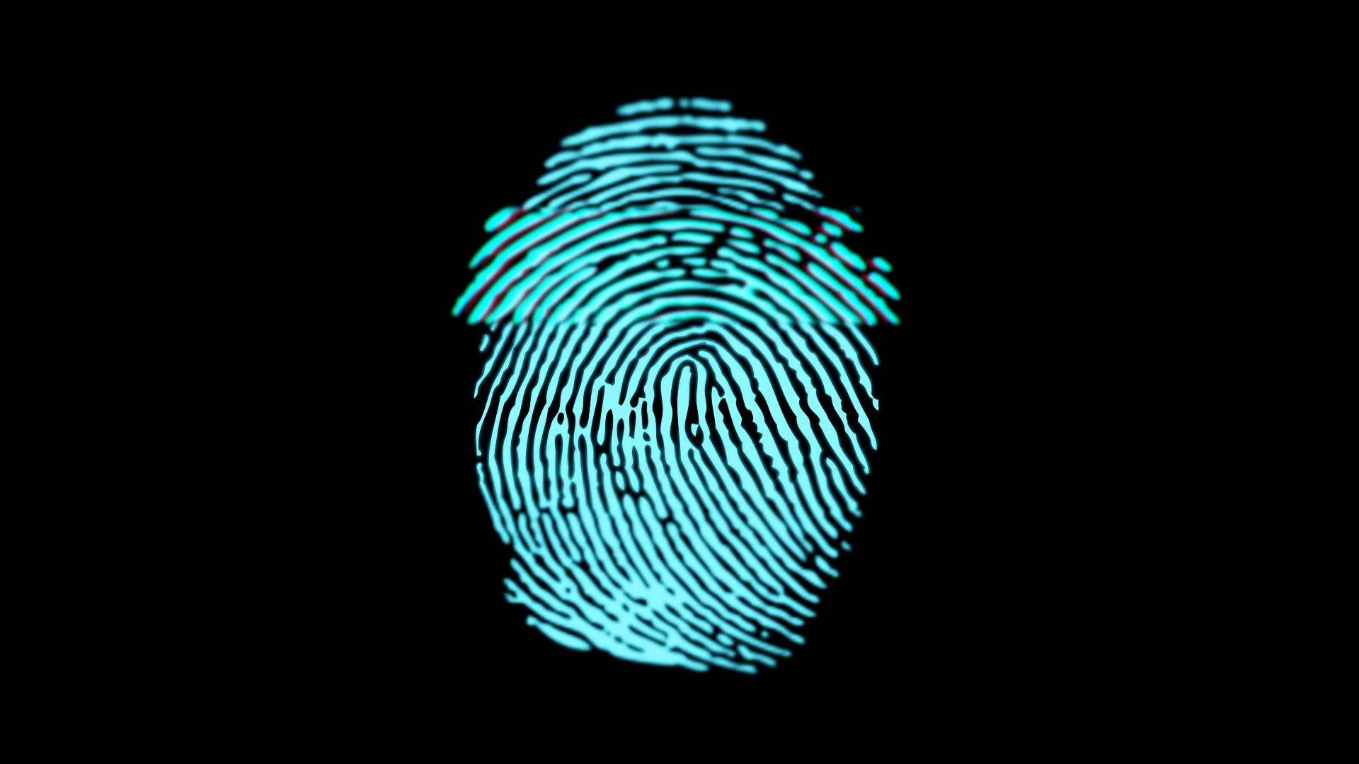 Fingerprint Scan - Animated Gif Fingerprint Gif , HD Wallpaper & Backgrounds