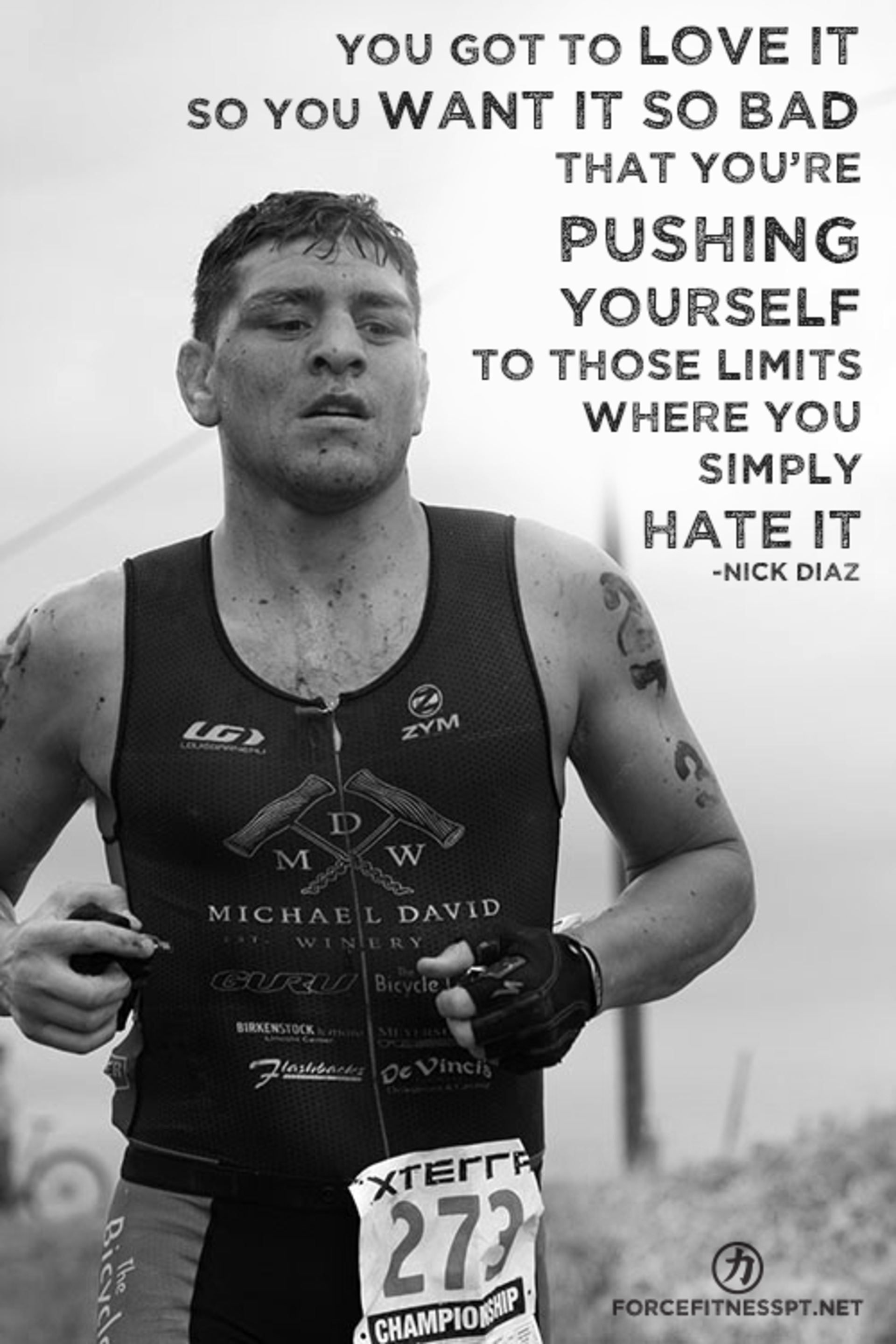 X - Nick Diaz Love Hate Quote , HD Wallpaper & Backgrounds