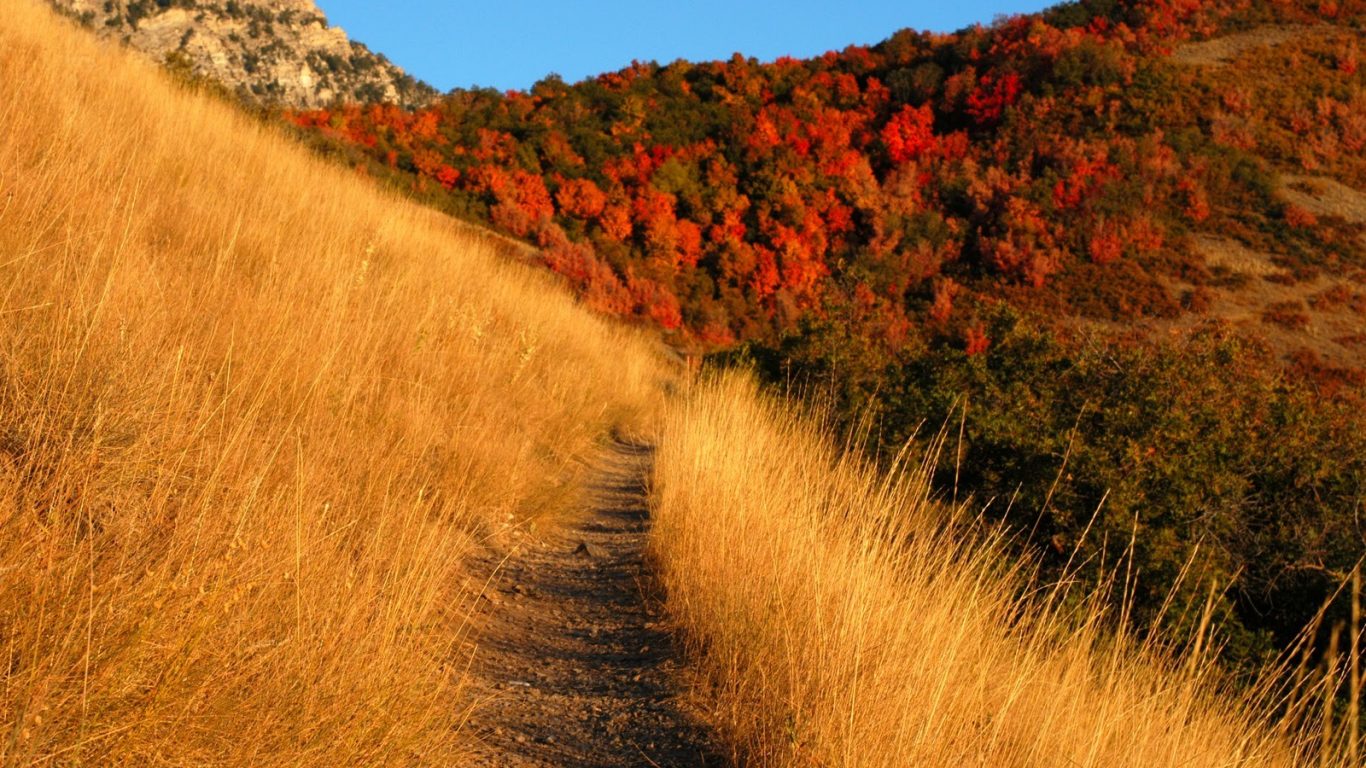 Autumn Nature Path Mountain Image Wallpaper - Autumn Meadow , HD Wallpaper & Backgrounds