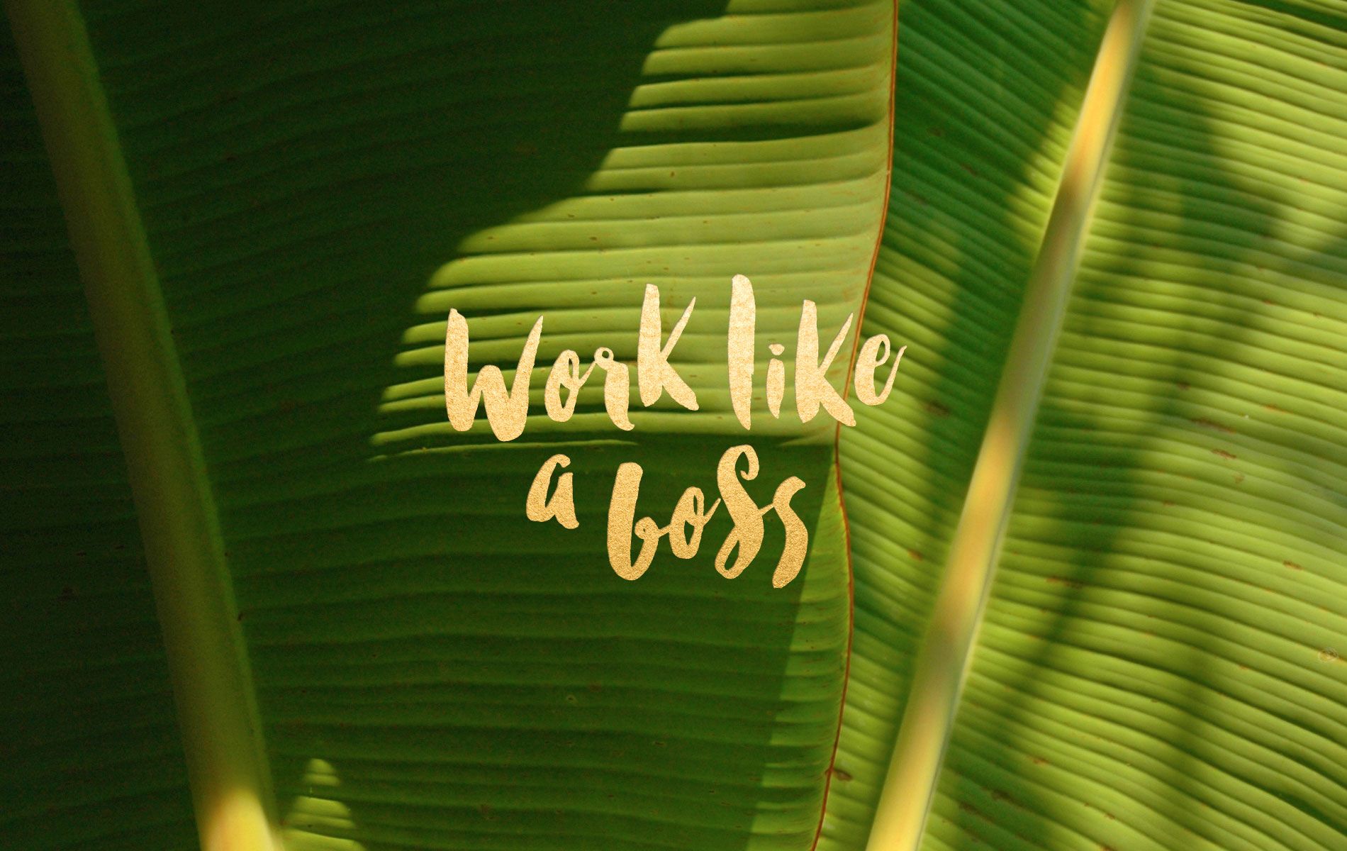 Work Like A Boss - Desktop Wallpaper Work Like A Boss , HD Wallpaper & Backgrounds