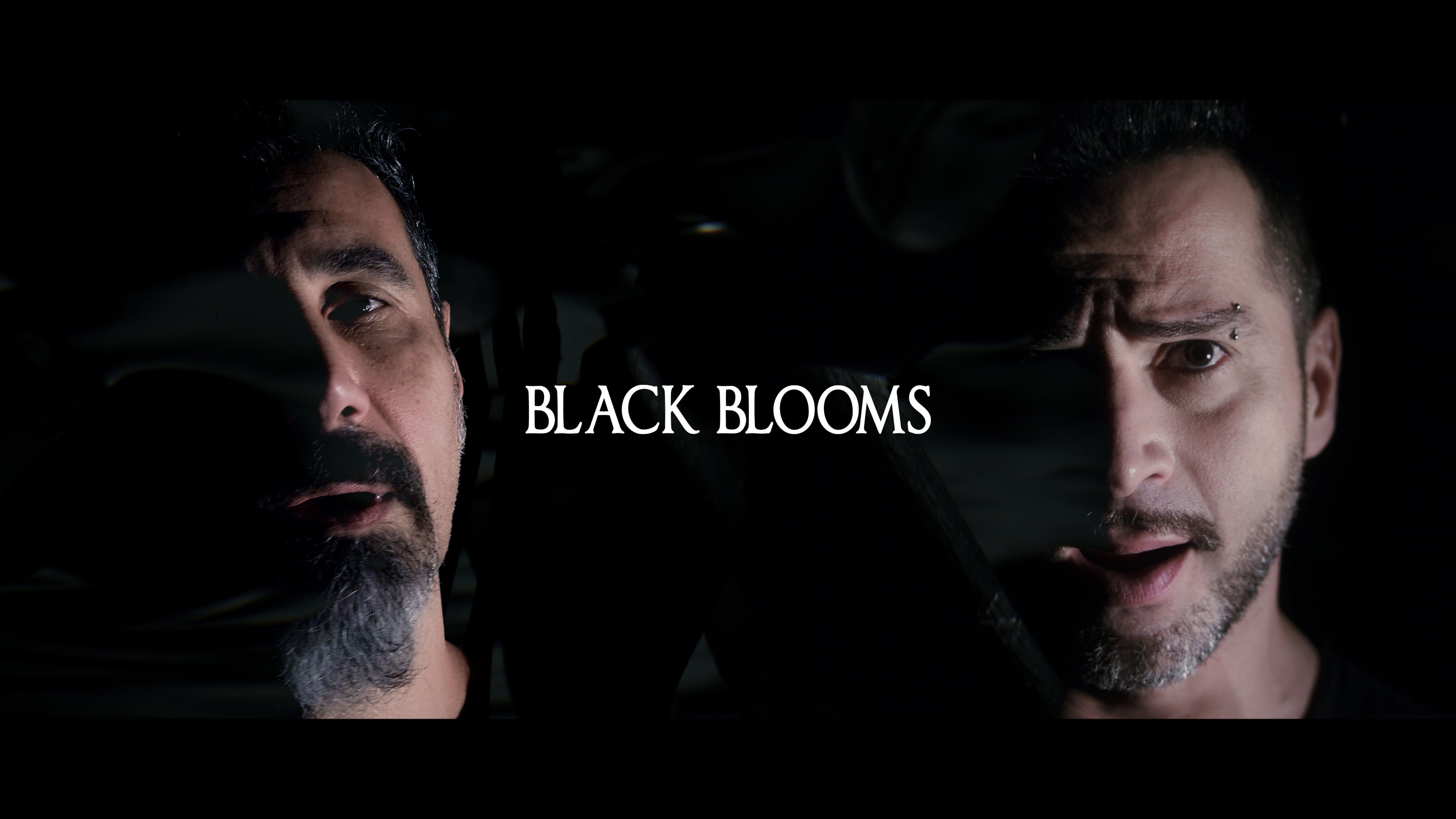 Serj Tankian - Darkness , HD Wallpaper & Backgrounds