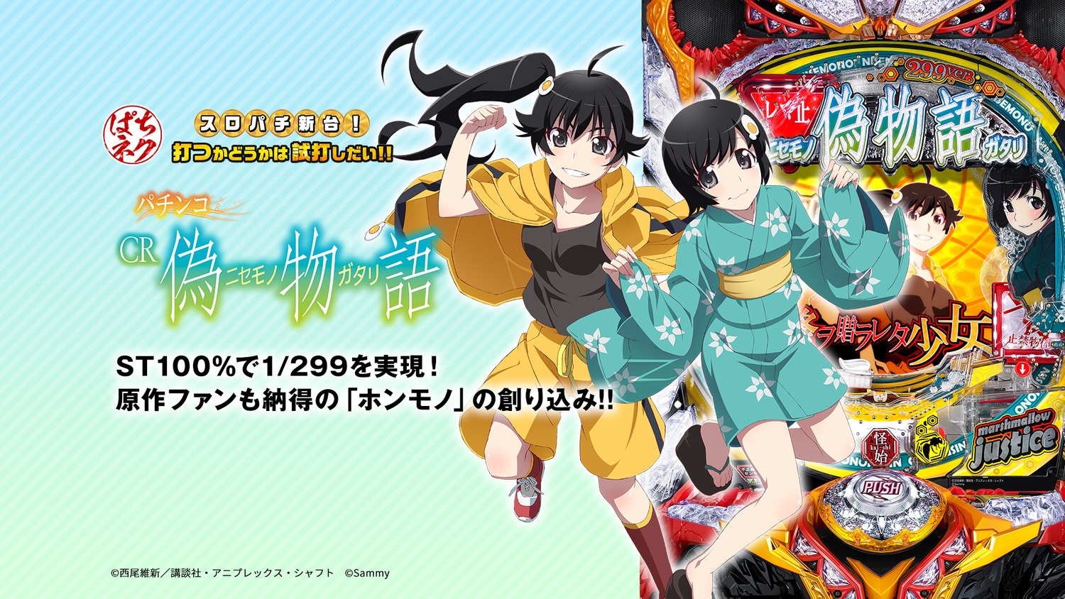 Araragi Karen Araragi Tsukihi Bakemonogatari Gym Uniform - 偽 物語 , HD Wallpaper & Backgrounds