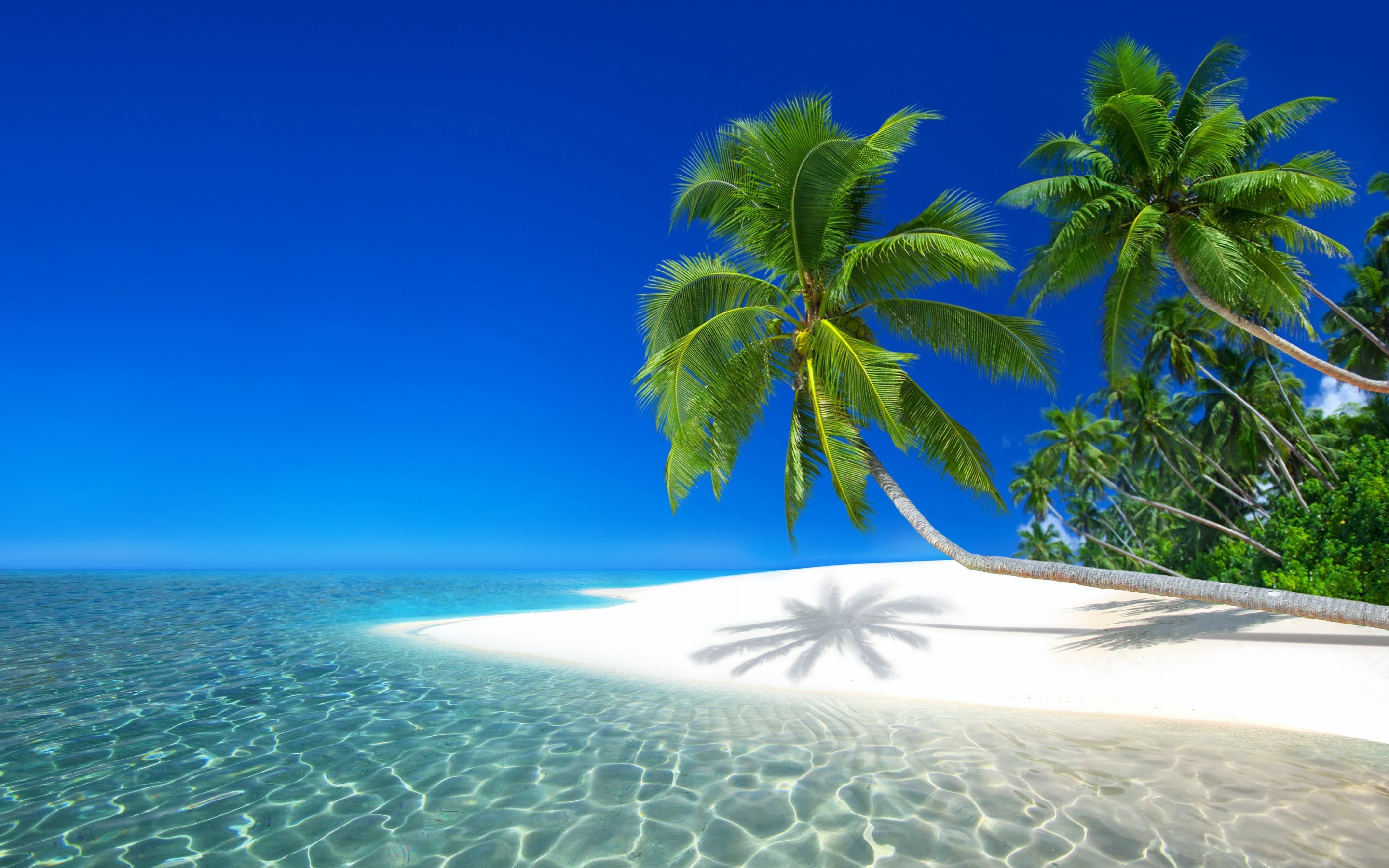 Seychelles Resort, Ocean, Holiday, Beach, Island - Seychelles Wallpaper Iphone , HD Wallpaper & Backgrounds