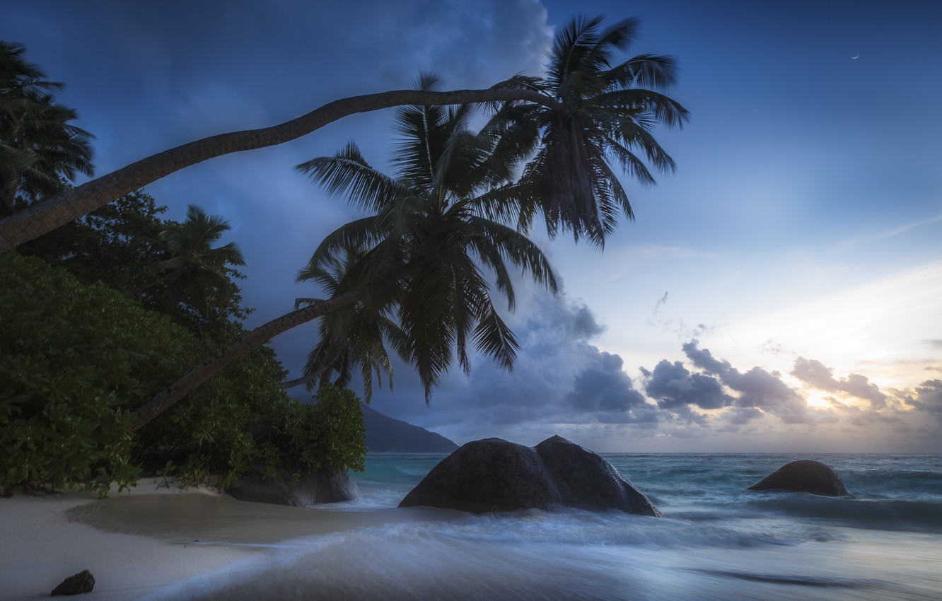 Photo Wallpaper Tropics, Stones, Palm Trees, The Ocean, - Full Hd Palmy I Ocean , HD Wallpaper & Backgrounds