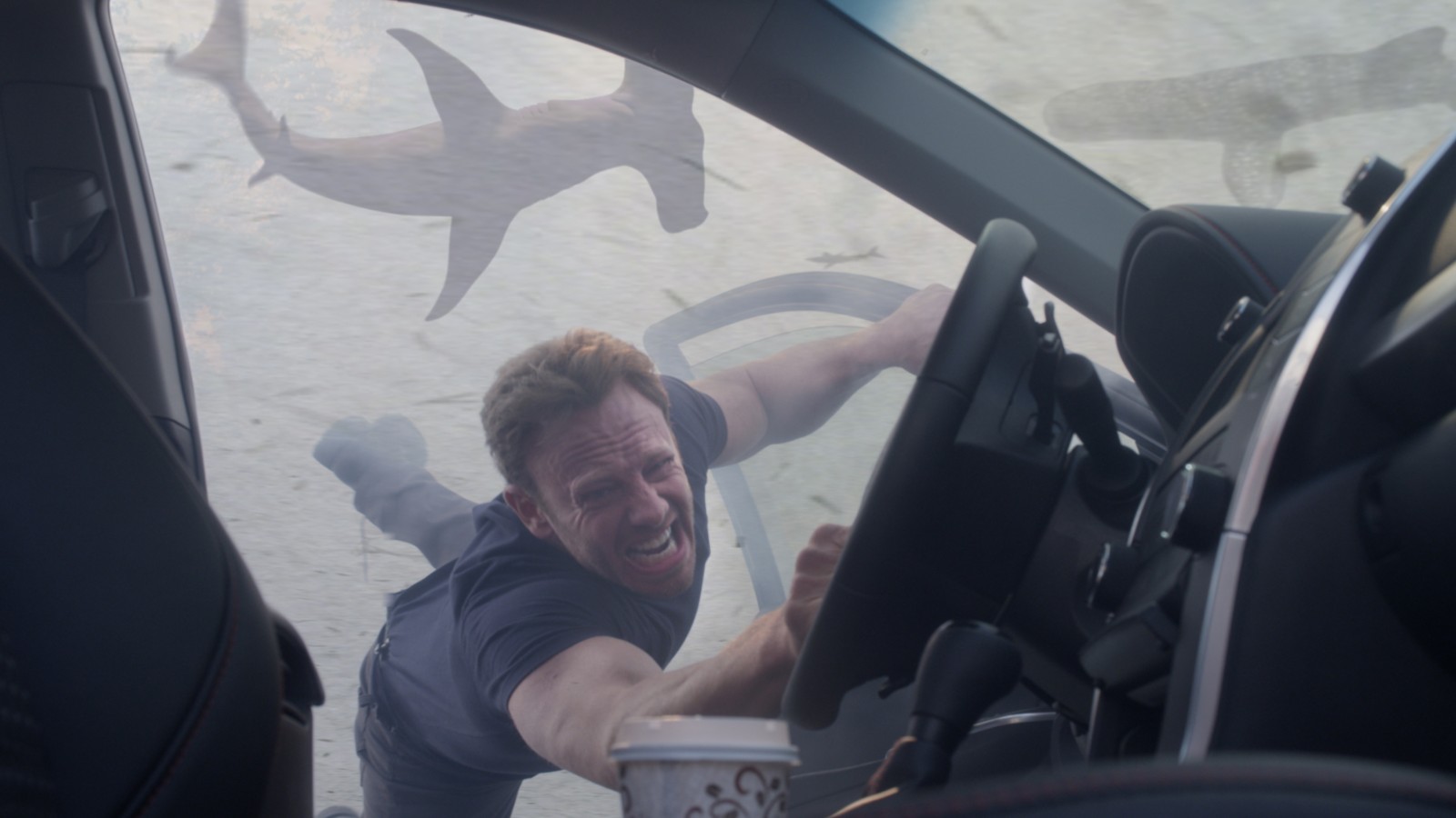 The Tweets, The Cameos, The Crazy - Ian Ziering Sharknado , HD Wallpaper & Backgrounds
